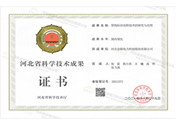 國內(nèi)領先證書